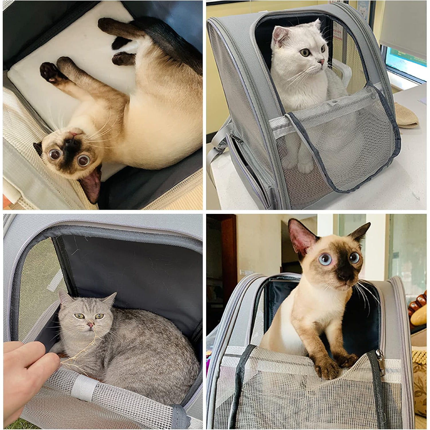 🔥 **#1 Bubble Pet Backpack!** Traveler-Designed Carrier⚡360° Airflow Windows🐾Comfy for Cats/Dogs【TikTok's Pet Travel Obsession】 🔥 **#1 Bubble Pet Backpack!** Traveler-Designed Carrier⚡360° Airflow Windows🐾Comfy for Cats/Dogs【TikTok's Pet Travel Obsession】